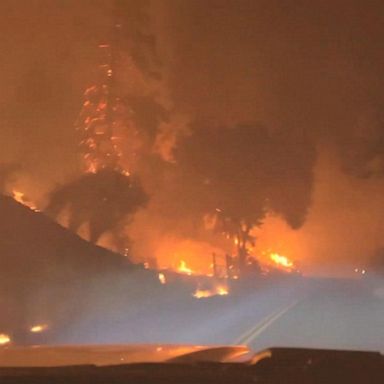 VIDEO: State of emergency in California as blaze erupts near Yosemite 