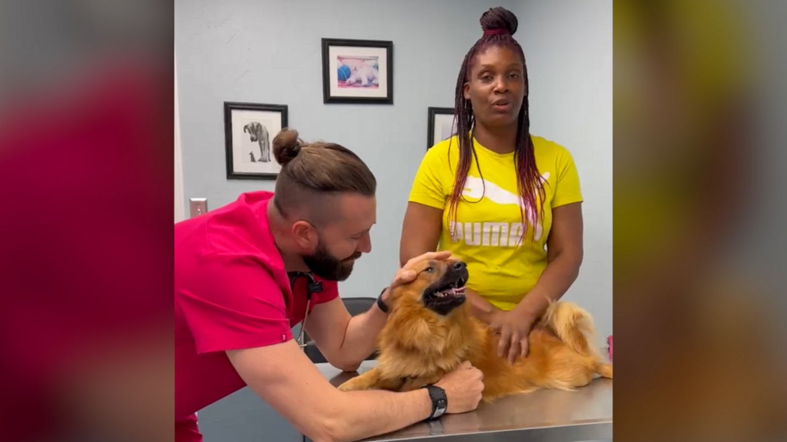 VIDEO: Woman shares story about finding her missing dog who was gone for a year