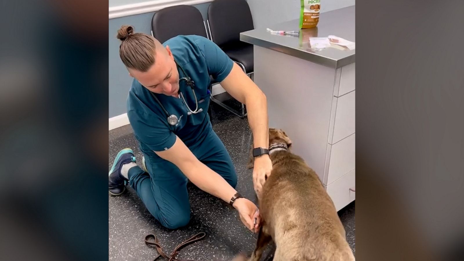 VIDEO: Veterinarian uses creative method to give dog shots