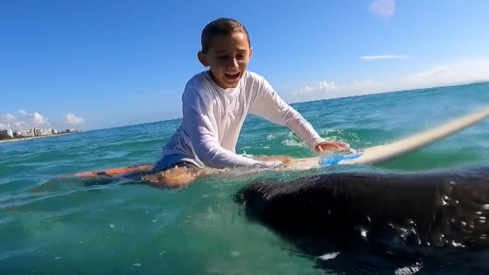 VIDEO: Twins boys have sweet surprise encounter with manatees while surfing