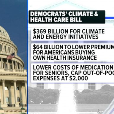 VIDEO: Dems rush to pass climate and health care bills before August recess