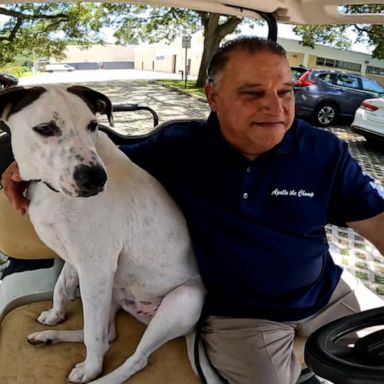 VIDEO: Deaf man forms unbreakable bond with adopted deaf dog 