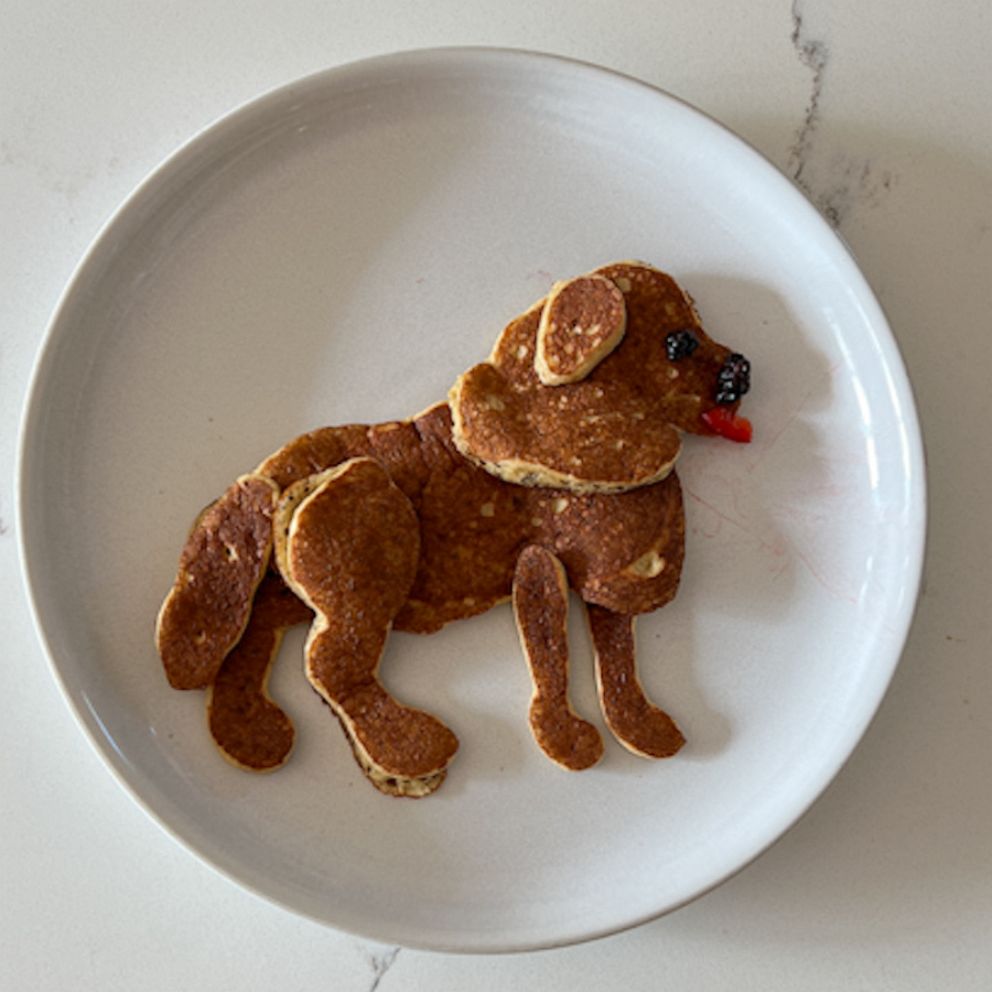 This Pancake Art Kit Lets You Make Adorable Pancakes Right On Your