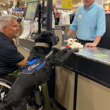 VIDEO: How K-9 companions support the independence of veteran who lost his legs