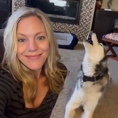 VIDEO: ‘Ya done?’ Howling husky goes on rant