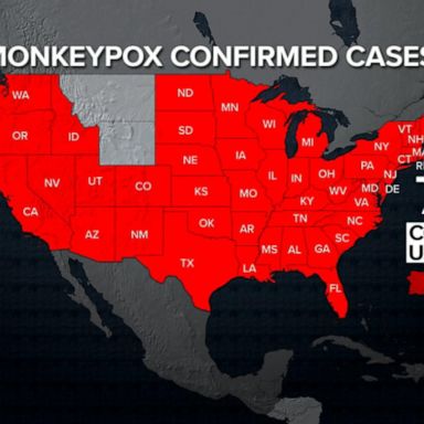 VIDEO: White House COVID czar talks monkeypox outbreak