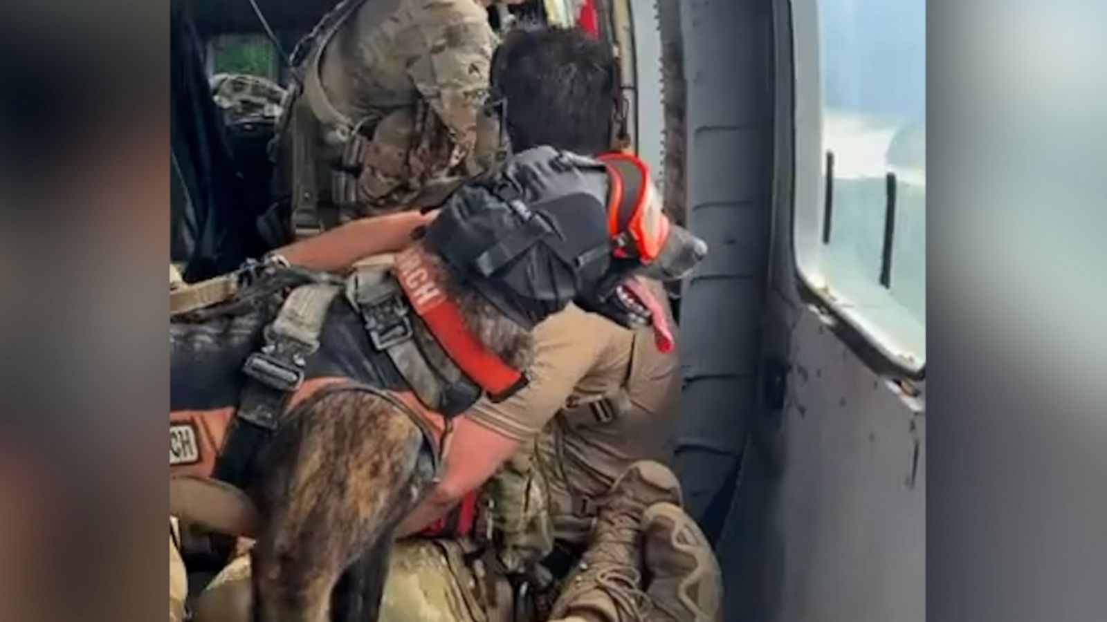 VIDEO: K-9 assists National Guard with Kentucky flood relief efforts