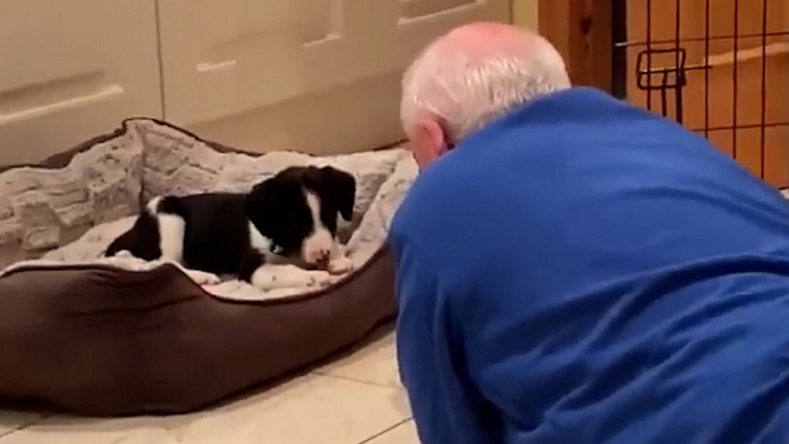 VIDEO: Dad who ‘didn’t want’ a dog caught in sweet moment singing to her