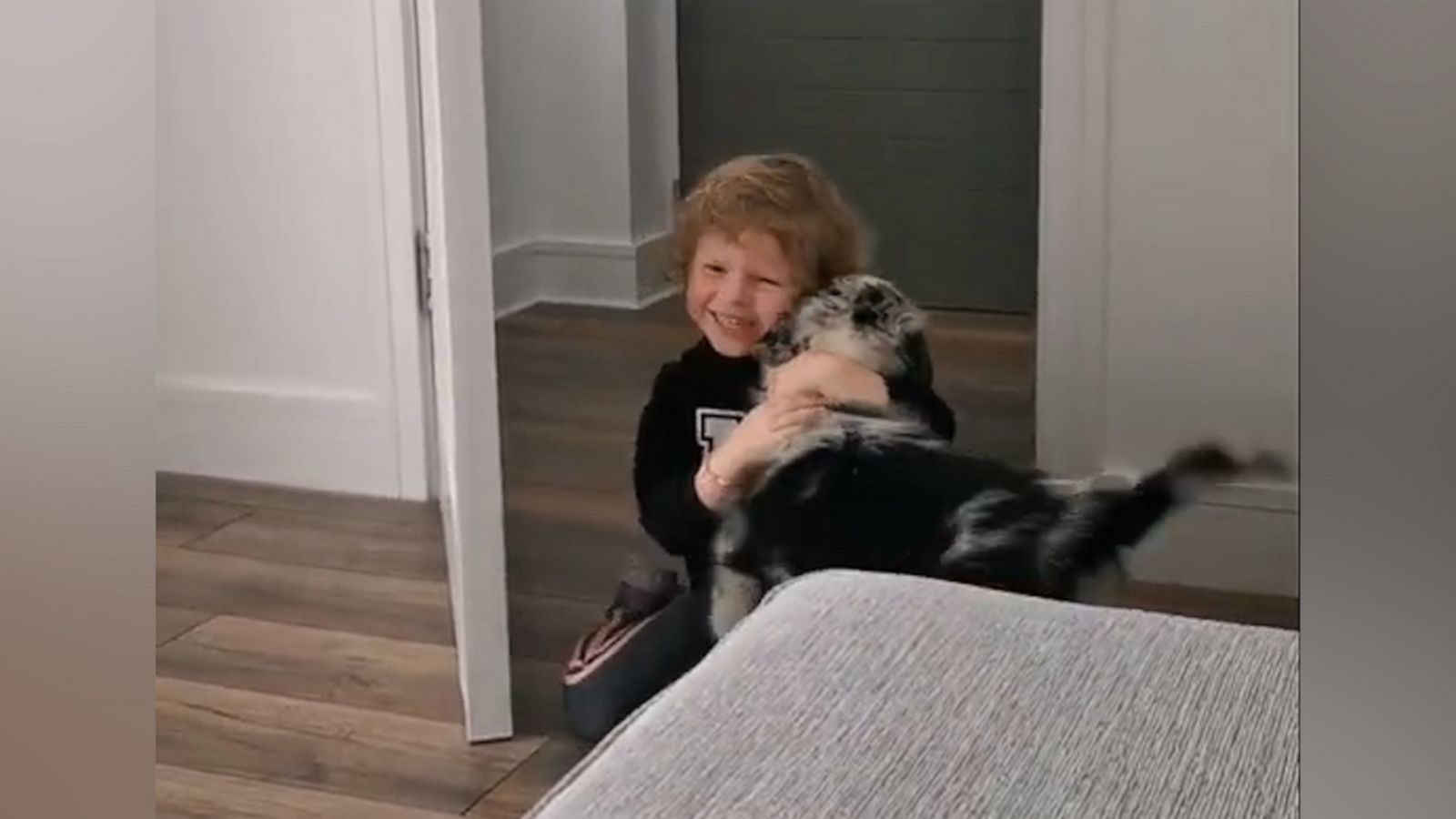 VIDEO: Little girl surprised with puppy has best reaction