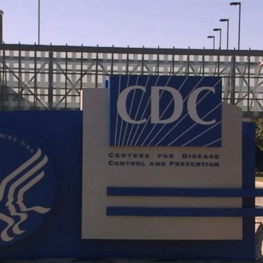 VIDEO: CDC director acknowledges ‘botched’ pandemic response