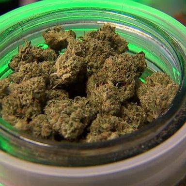 VIDEO: Young adults using marijuana, hallucinogens hit highest level in decades: study