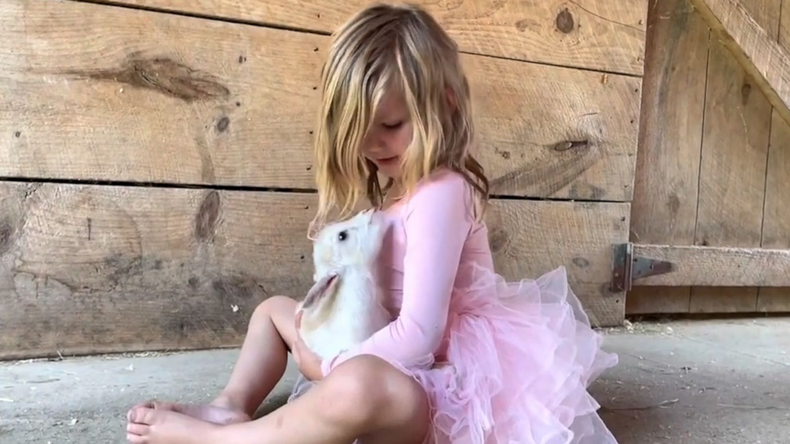 VIDEO: Little girl serenades goat with sweet lullaby