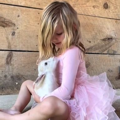 VIDEO: Little girl serenades goat with sweet lullaby 