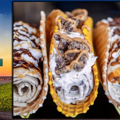 VIDEO: Creative ice cream sandwiches across the US