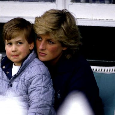 VIDEO: The legacy Princess Diana left behind to her sons, Princes William and Harry