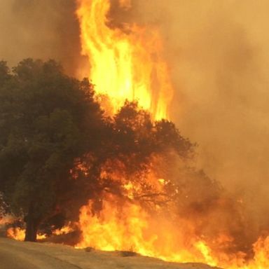 VIDEO: Record heat and wildfires force more evacuations in the West 