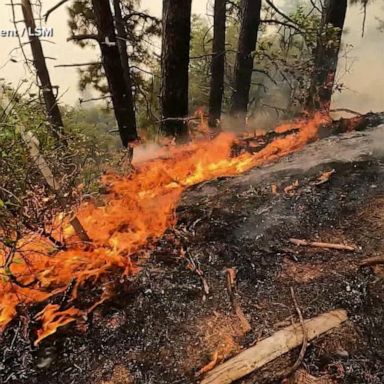 VIDEO: West battles wildfires and flash flooding from storms 