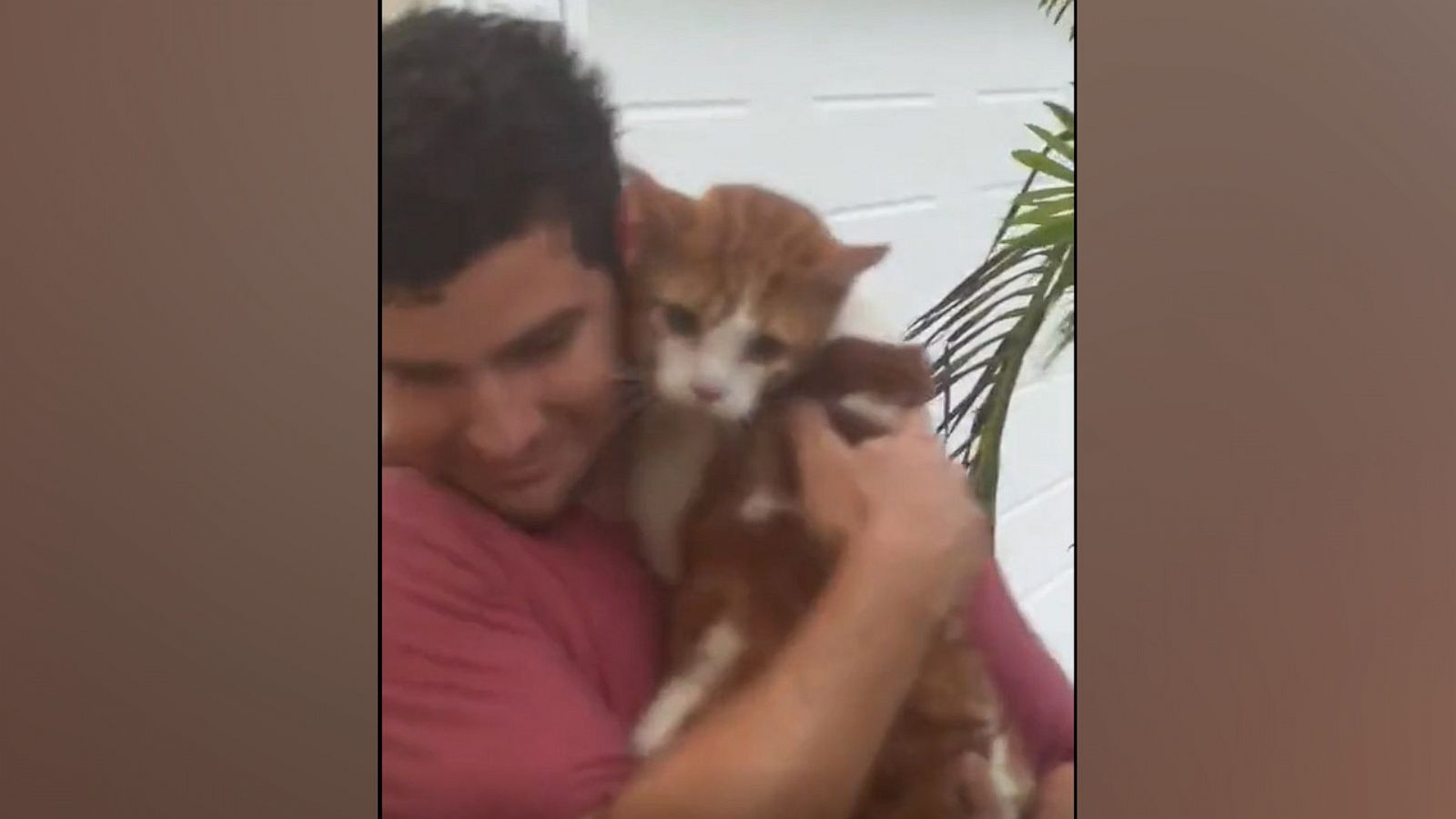 Cat Who Survived Tornado Is Found Sitting on Pillow Amongst Debris