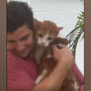 VIDEO: Man rescues cat from Hurricane Ian