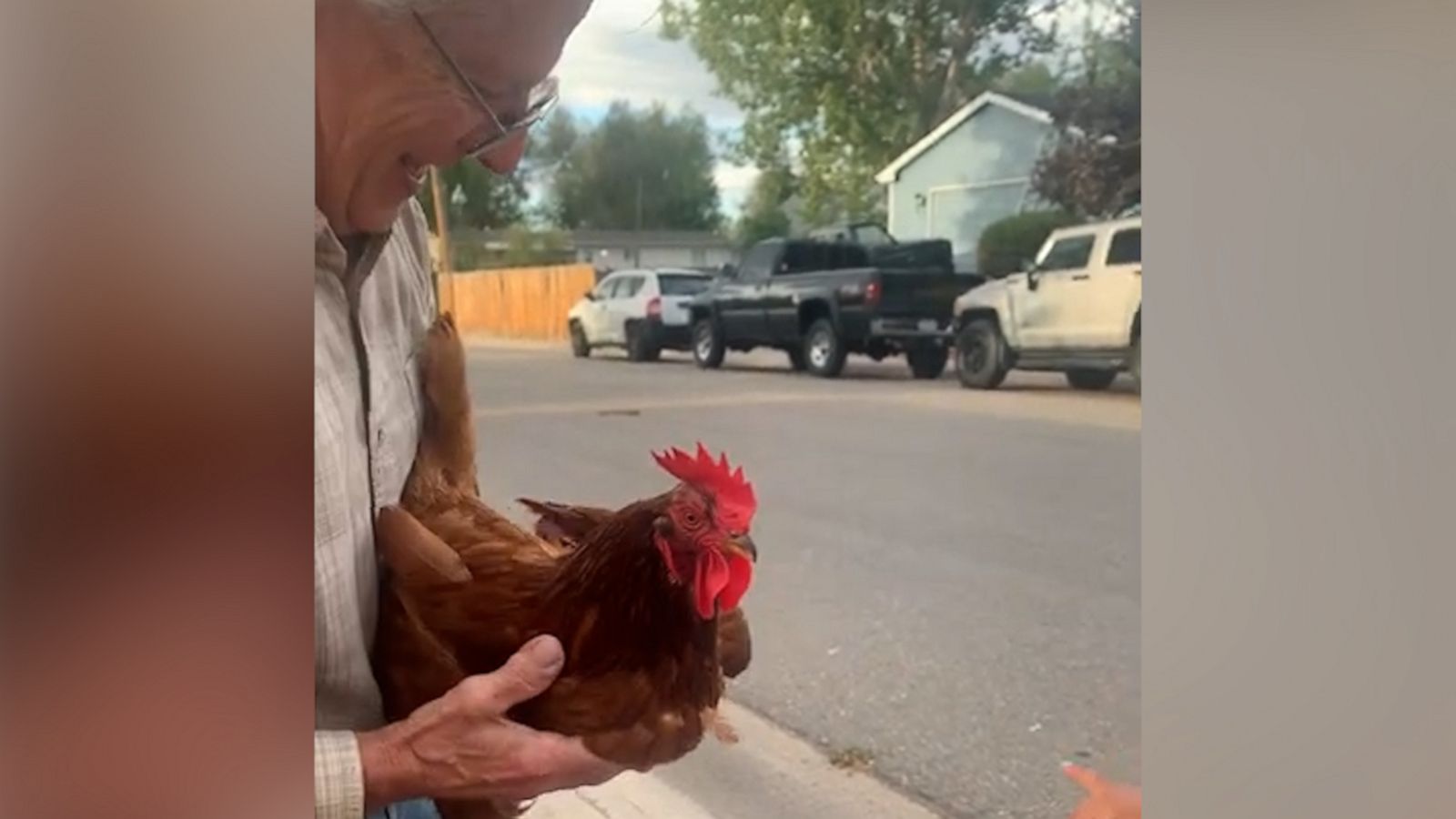 VIDEO: Kind neighbor introduces toddler to his pet chicken