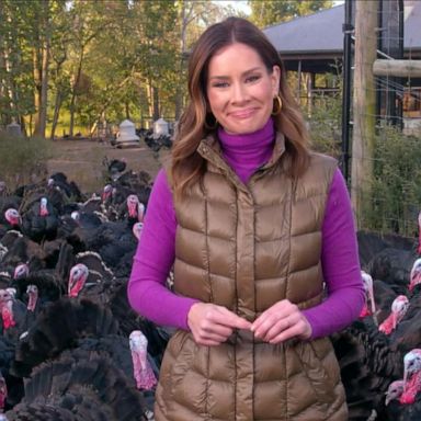 VIDEO: Farmers say price of Thanksgiving turkeys will skyrocket