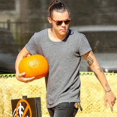 VIDEO: This is the go-to pumpkin patch for celebs