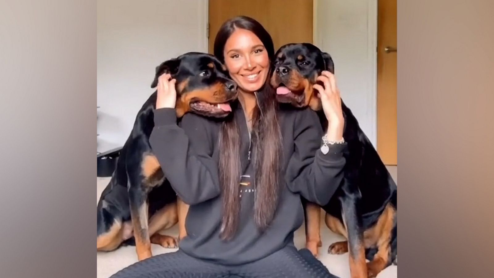 VIDEO: How one woman and her dogs are changing the stigma of Rottweilers