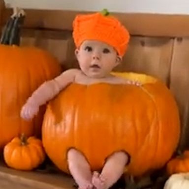 VIDEO: First-time grandparents try to make baby smile for fall photoshoot