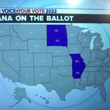 VIDEO: Ballot initiatives include some key issues