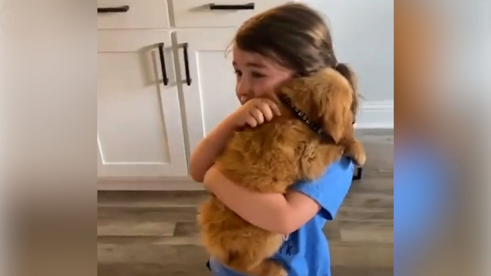 VIDEO: Emotional 3-year-old has adorable reaction to seeing puppy