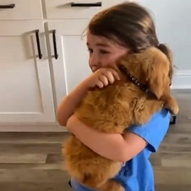 VIDEO: Emotional 3-year-old has adorable reaction to seeing puppy