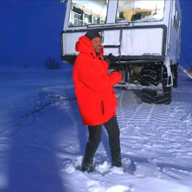 VIDEO: Michael Strahan's journey to see polar bears amid climate crisis