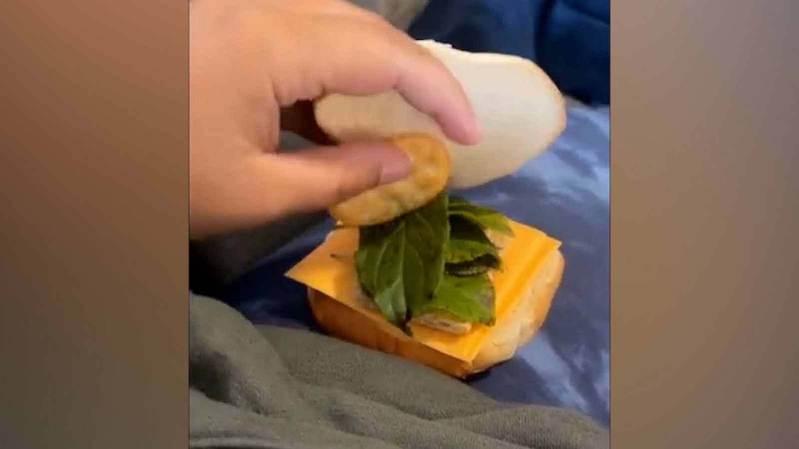 VIDEO: Kid makes sandwich for mom using leaves from outside