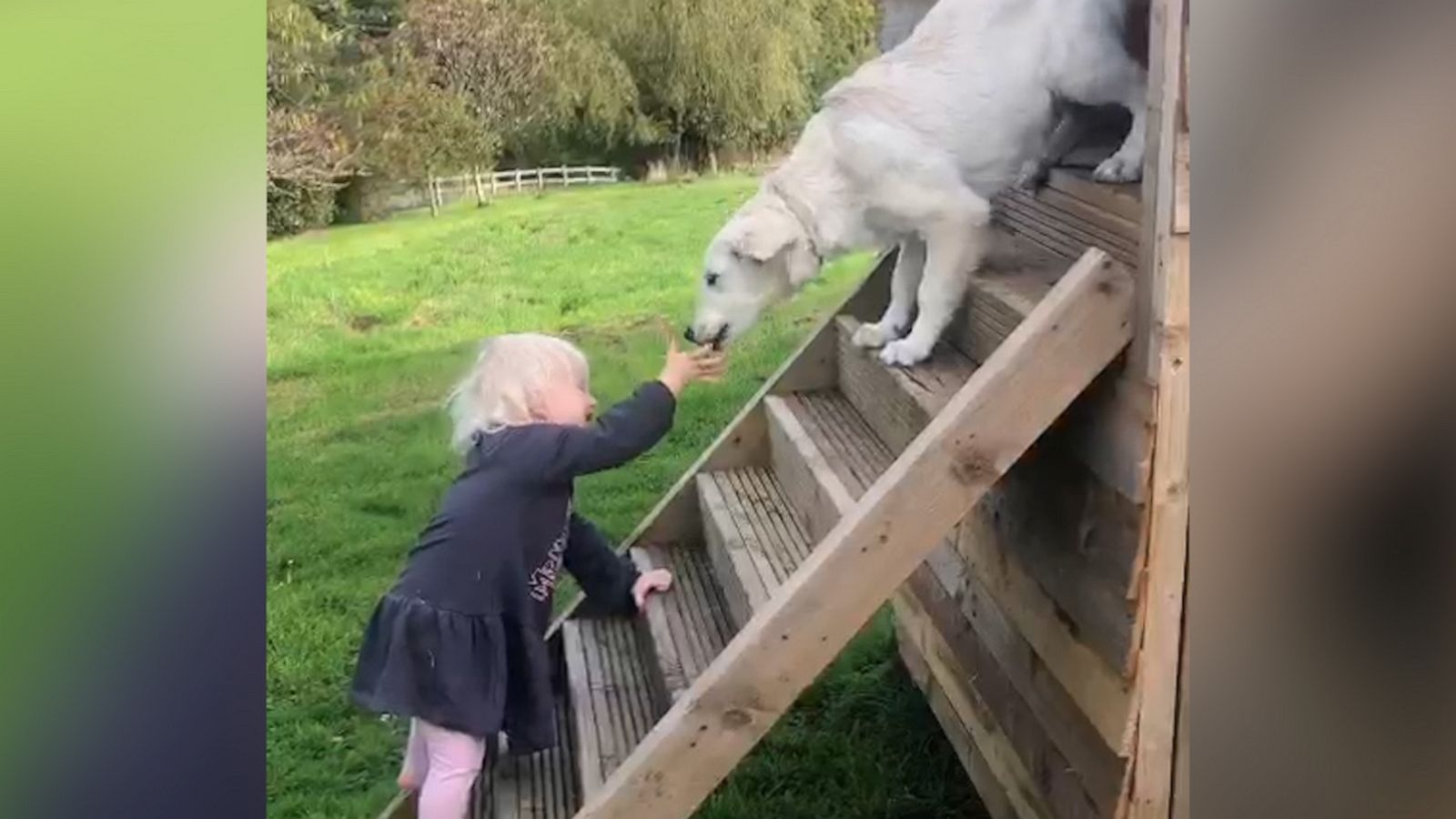 VIDEO: Toddler and puppy share adorable playtime