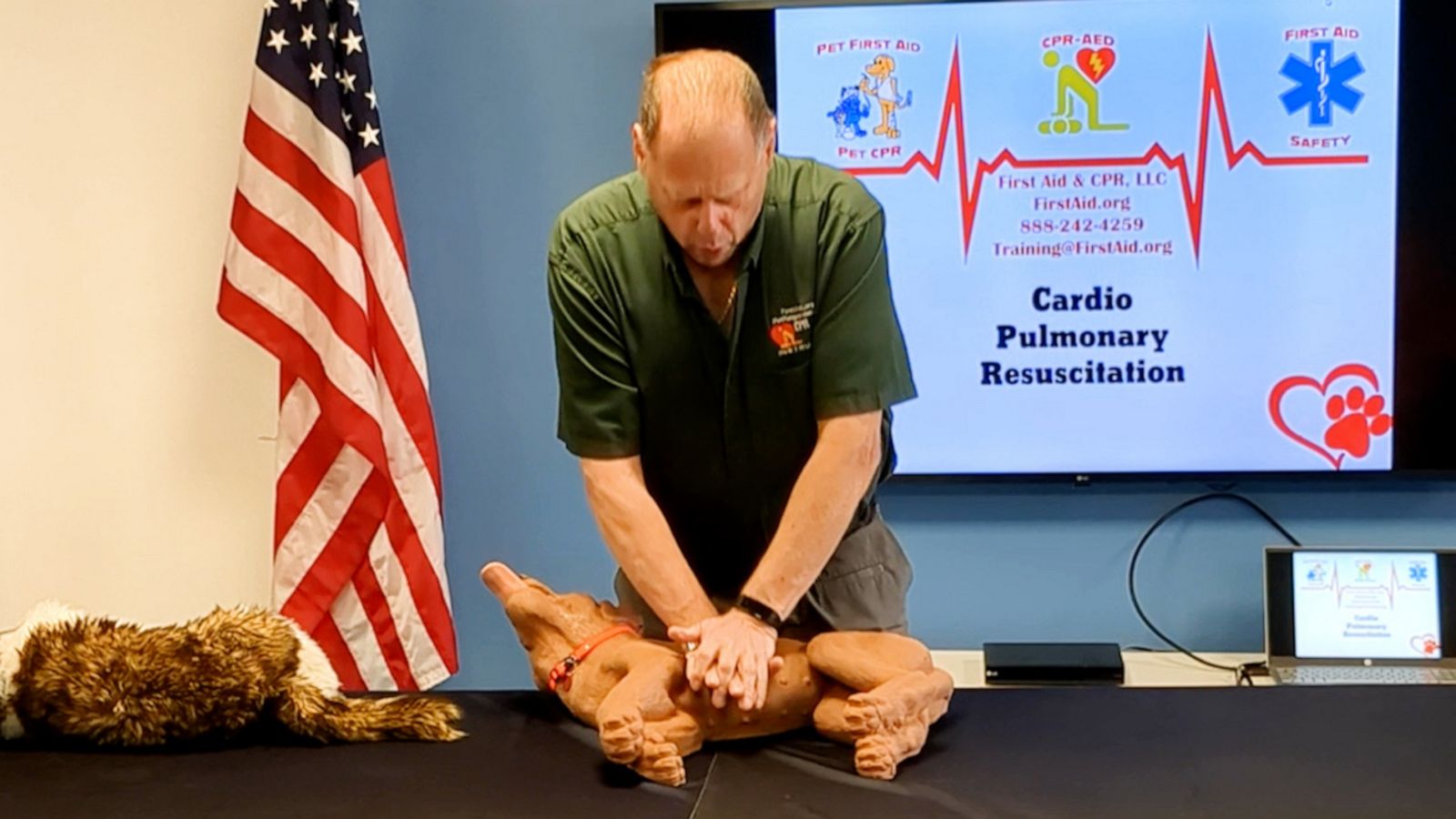 VIDEO: How to perform CPR on your dog or cat