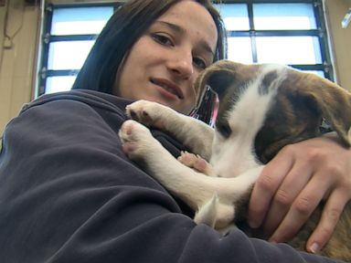 WATCH: First responders adopt puppies they rescued from plane crash