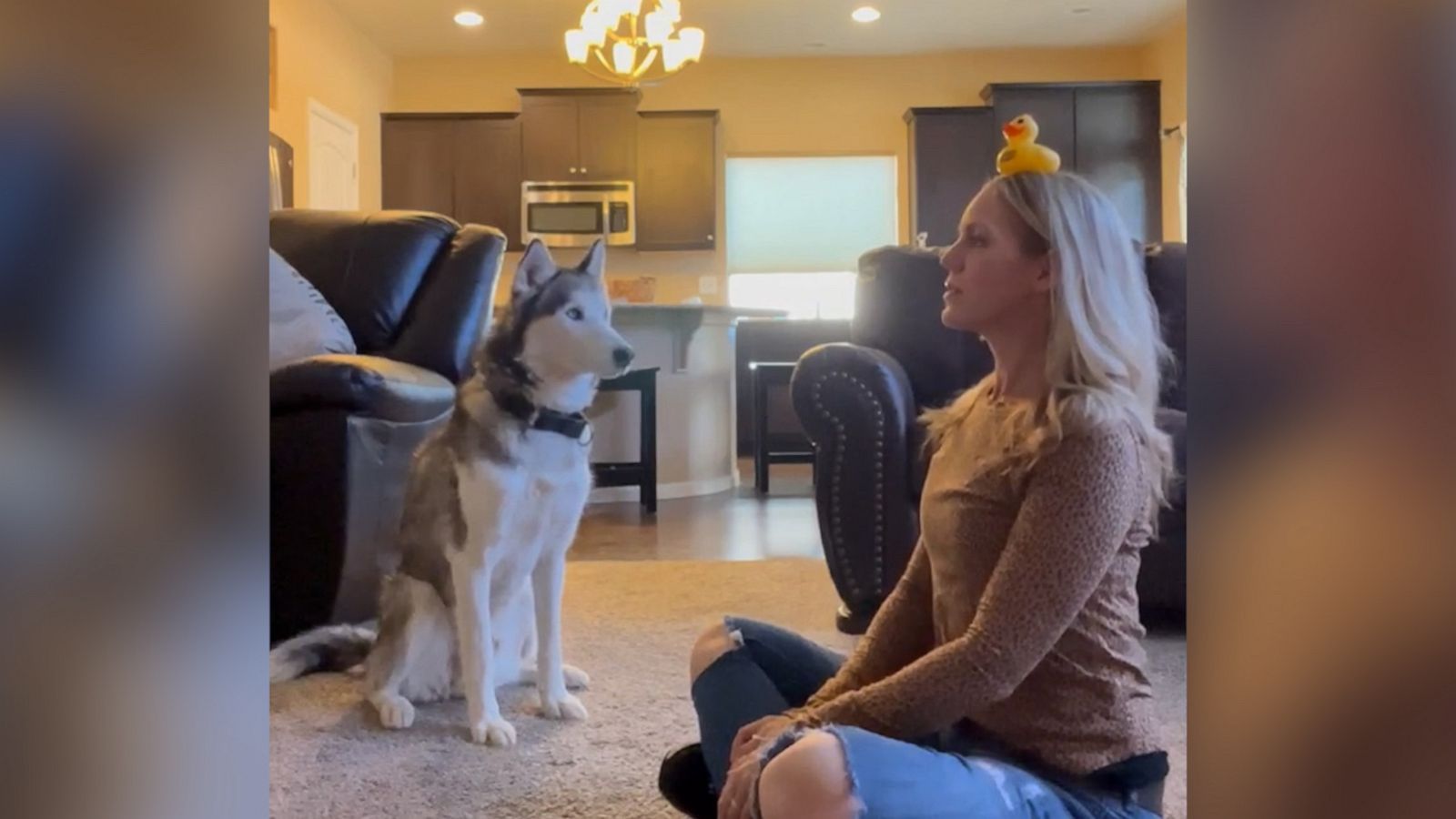 VIDEO: Owner tests pup with dog toy challenge