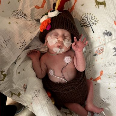 VIDEO: Newborns get dressed up as turkeys to celebrate Thanksgiving 