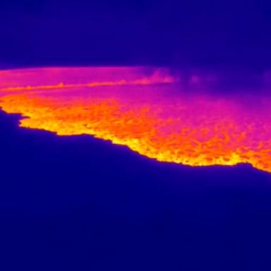 VIDEO: Hawaii residents warned as Mauna Loa volcano erupts for 1st time in decades