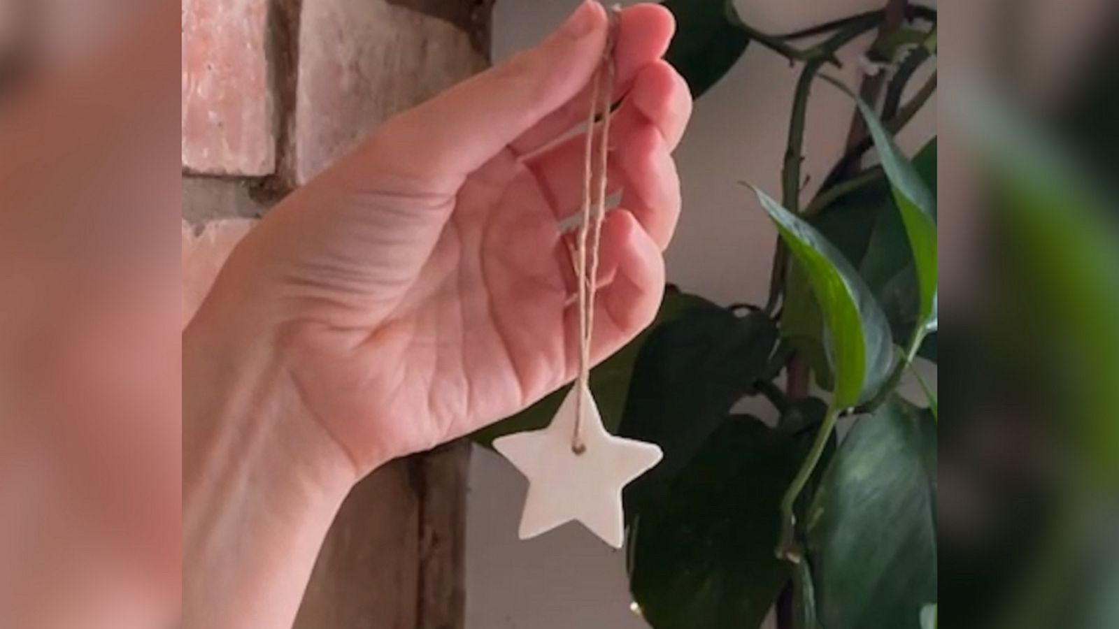 VIDEO: DIY Plastic-free Holiday Tree Decorations