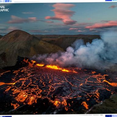 VIDEO: A look inside National Geographic's Pictures of the Year issue