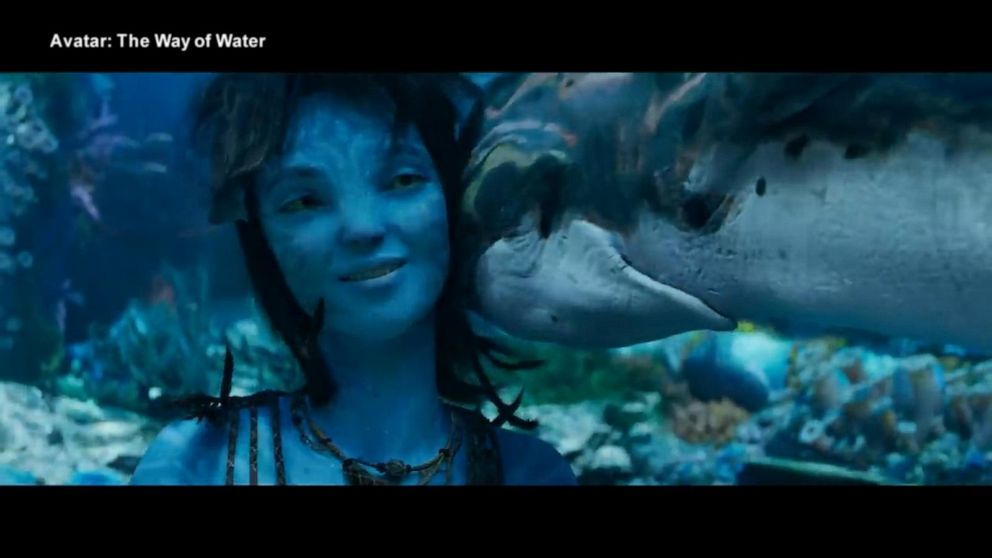Avatar Box Office ReRelease Will The Way of Water Be a Hit  Variety