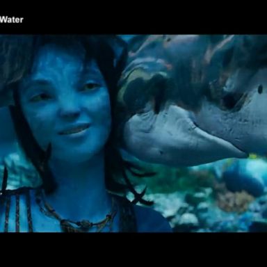 VIDEO: ‘Avatar: The Way of Water’ set to hit big screen