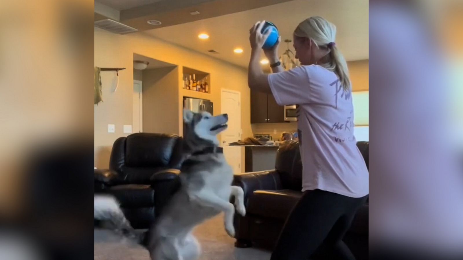 VIDEO: Husky owner tries the 'freeze challenge' with her dog