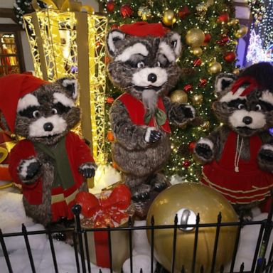 VIDEO: A look at New York City’s holiday decorations