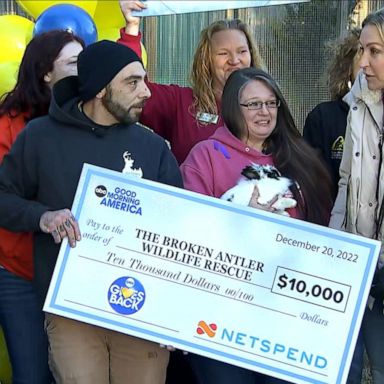 VIDEO: Deserving heroes who protect wildlife get ‘GMA’ surprise 