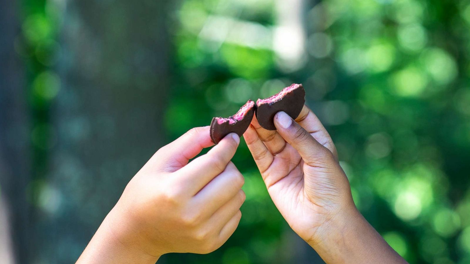 PHOTO: Two Girl Scouts hold the new Raspberry Rally cookie.