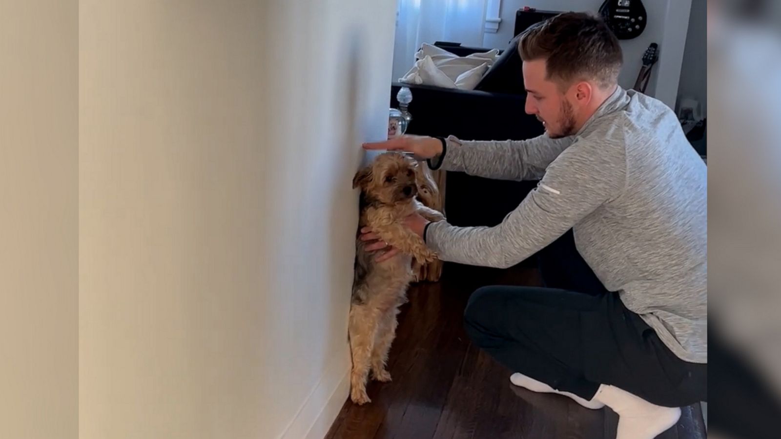 VIDEO: See how this man checks his dog Lenny’s height.