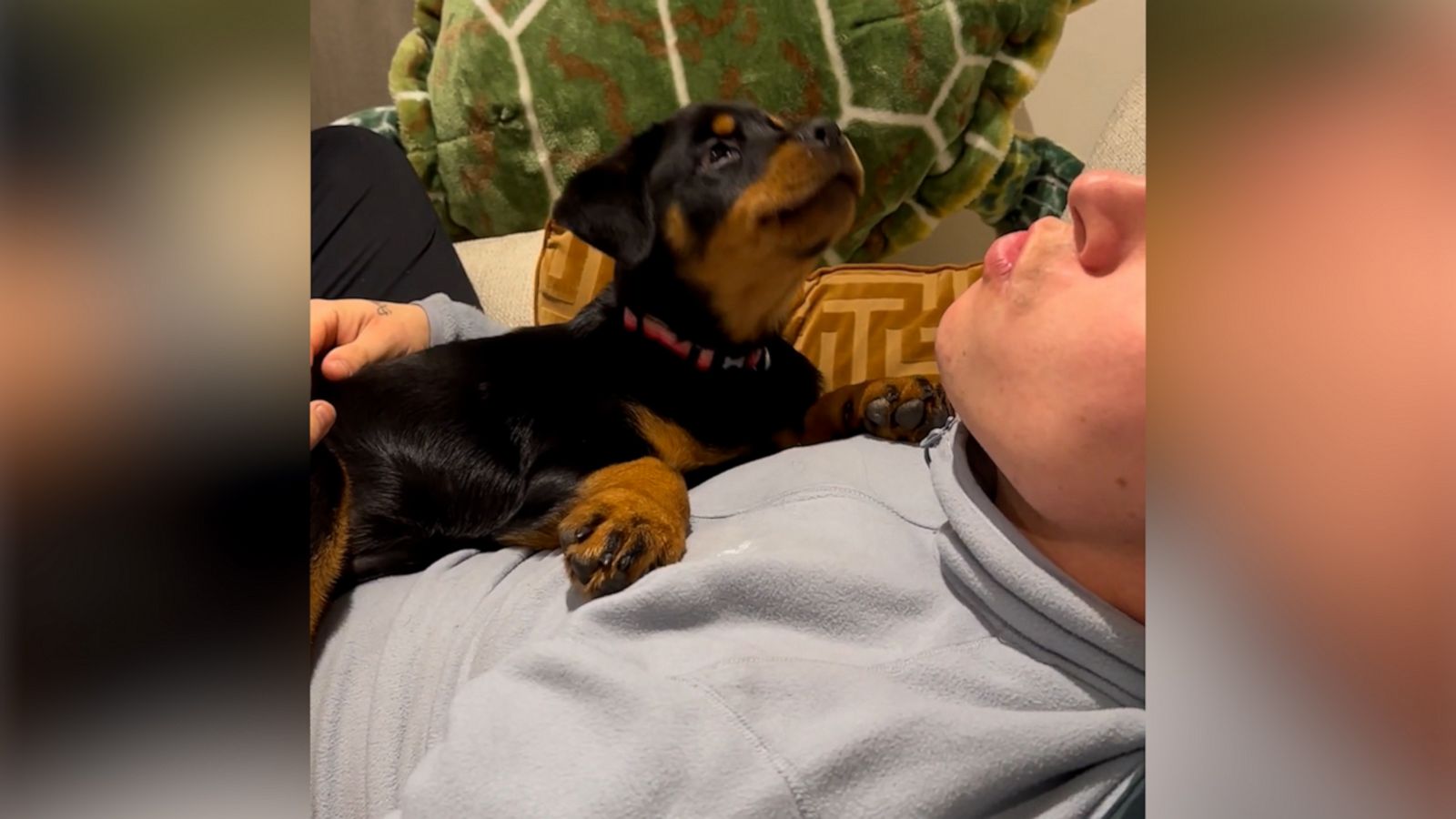 VIDEO: A-roo! Rottweiler puppy gets in her first tiny howls with help from her doggy brother