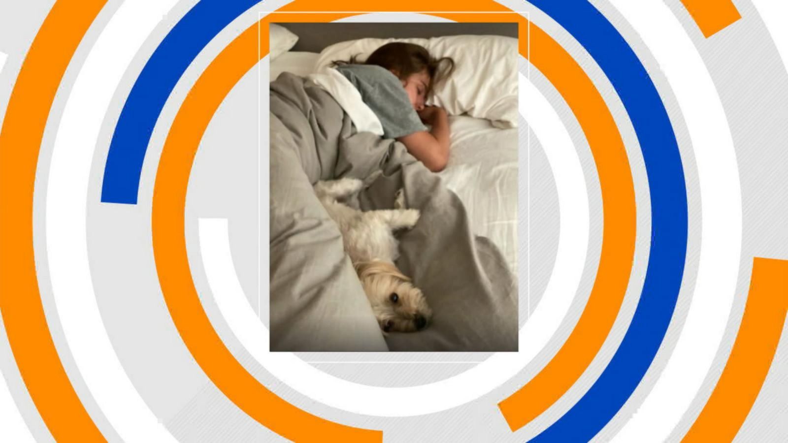 Can Sharing A Bed With Your Pet Be Bad For Your Health? - Good Morning ...